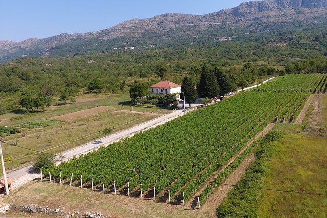 PRIVATE Wine Tour to Konavle country side - The Guide’s Role and Personal Touch
