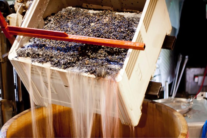 Private Wine Tour with Tastings from Eugene - Discover the Personalized Charm of the Private Eugene Wine Tour