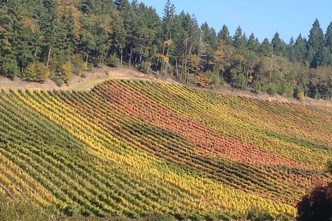 Private Wine Tour with Tastings from Eugene - Key Points