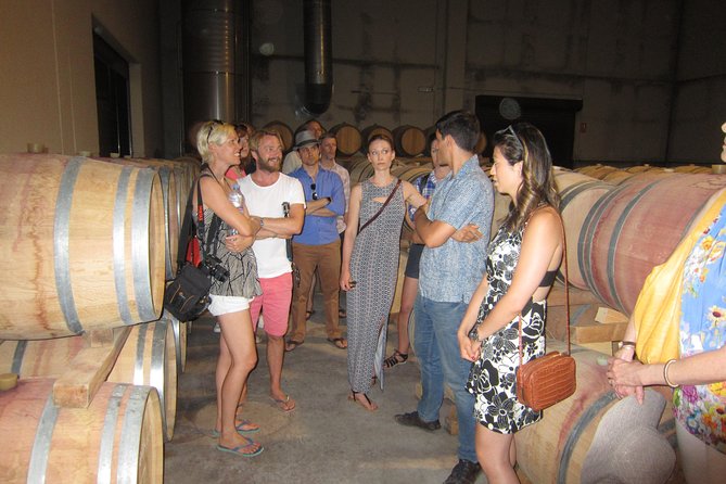 Private Wine Tour with Wine Tasting and Full Lunch (day trip) - Visiting Requena’s Historic Wine Caves