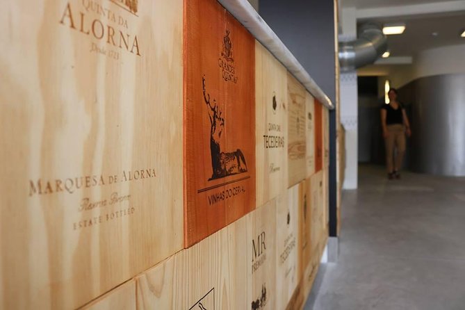 Private Wine Tour Xperience - The Inclusion of Olive Oil and Snacks