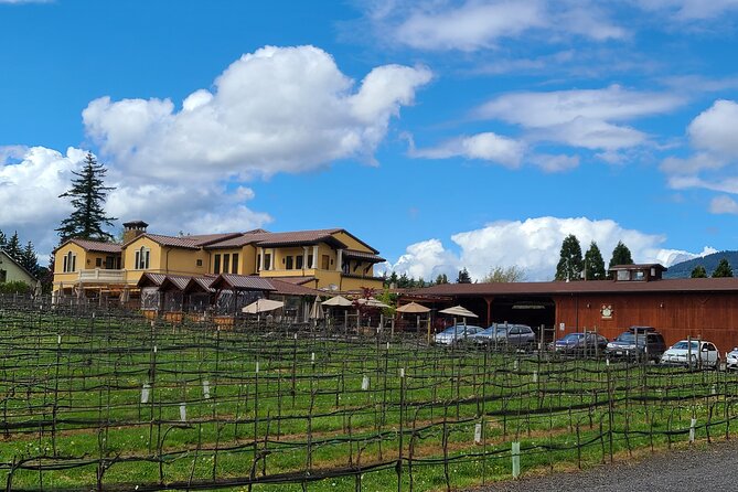 Private Wine Tours - Scenic Vineyard Drive in Willamette Valley