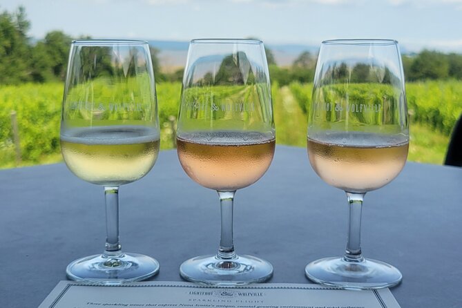 Private Wine Tours from Halifax - Comfortable Transportation and Pacing