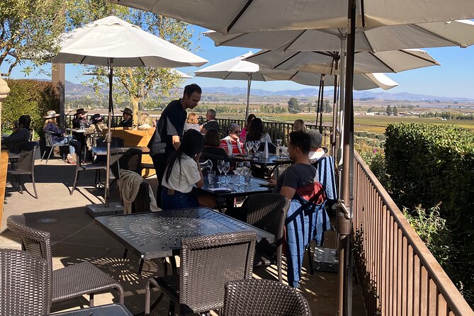 Private Wine Tours of Napa Valley and Sonoma for 2 to 5 people - Discovering Sonoma Valley’s Award-Winning Vineyards