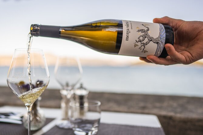 Private Winemaking of the Island of Korula - The Guide: Kruno Filipovic’s Expertise and Style