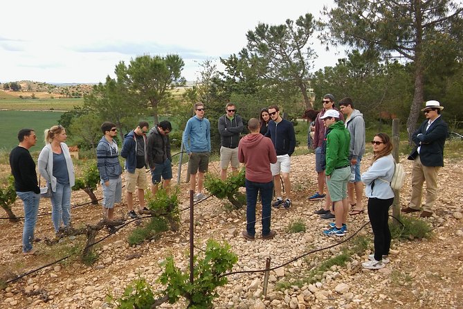 Private Wineries Tour from Valencia (morning tour) - Starting Point and Convenient Pickup Service