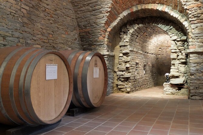 Private Winery and Vineyard Tour with Wine Tasting - Key Points