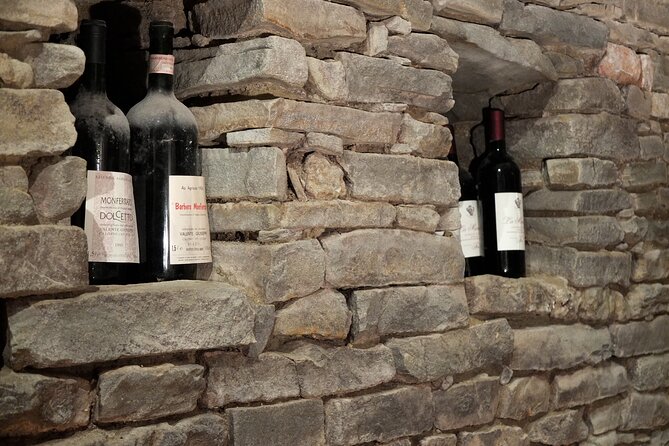 Private Winery and Vineyard Tour with Wine Tasting - Who will enjoy this Piedmontese wine tour?