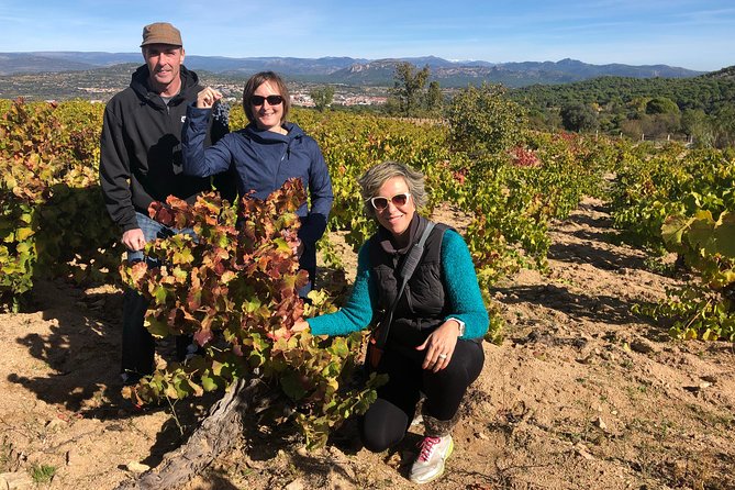 Private Winery Tour near Madrid with Sommelier (6-hour) - The Tour Starts with a Vineyard Visit in Belmonte de Tajo