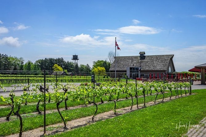 Private Winery Tour of Niagara-on-the-Lake - Logistics and Practical Tips