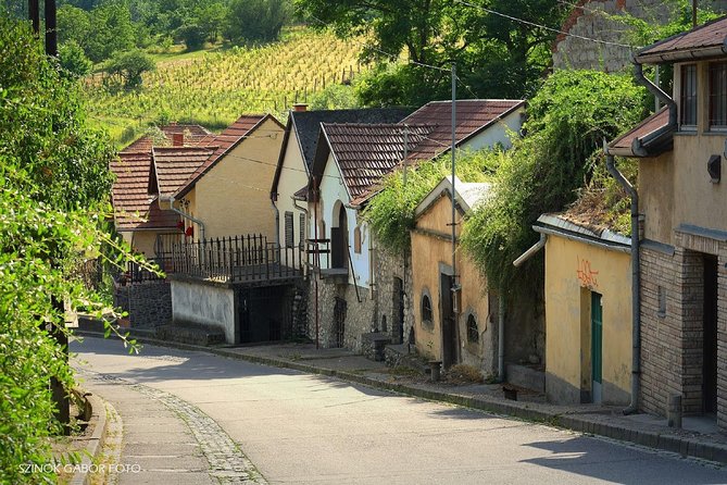 Private winetasting and sightseeing tour to Eger, home to Bull's Blood wine! - The Personal Guide: Insights and Flexibility