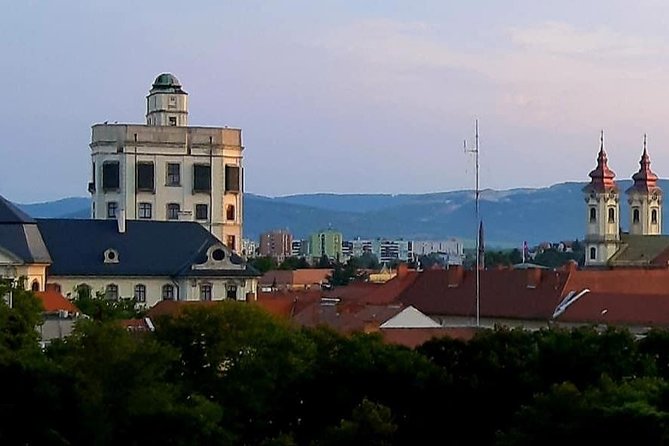 Private winetasting and sightseeing tour to Eger, home to Bull's Blood wine! - Practical Aspects: Logistics and Accessibility