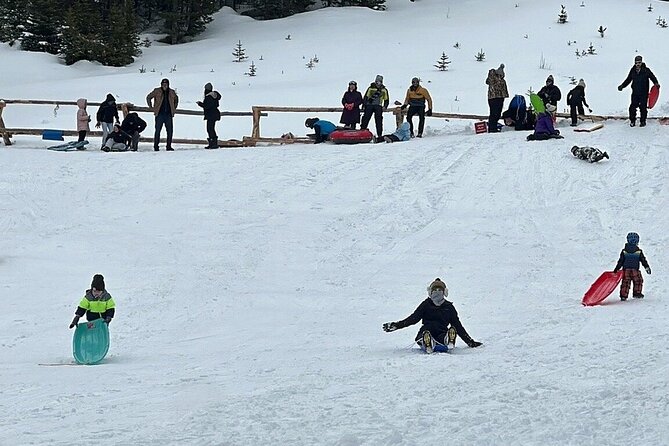 Private Winter Tour + Sledding in Rocky Mountain National Park - Practical Considerations and Physical Requirements