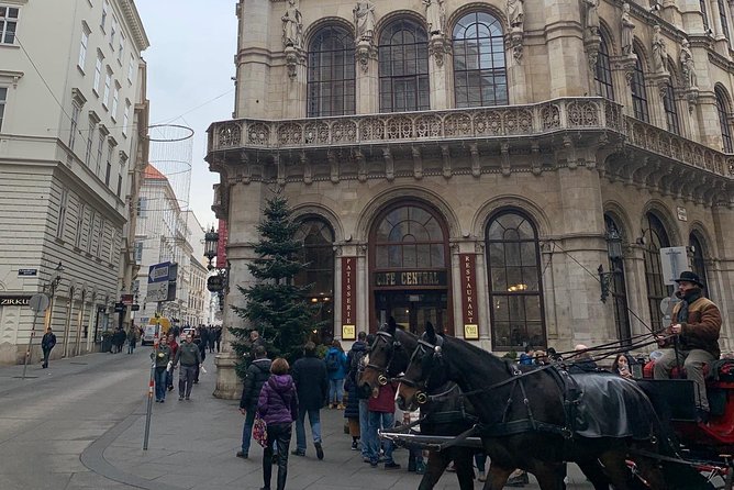 Private World War II Walking Tour in Vienna - The Gothic Cathedral and Karl Lueger Monument in the Context of WWII