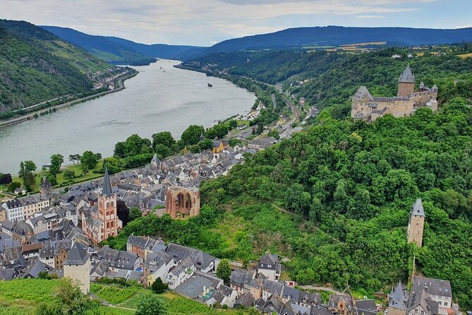 Private Xmas Market Hopping with wine tasting and gondola ride - Evening Festivities in Wiesbaden’s Christmas Market