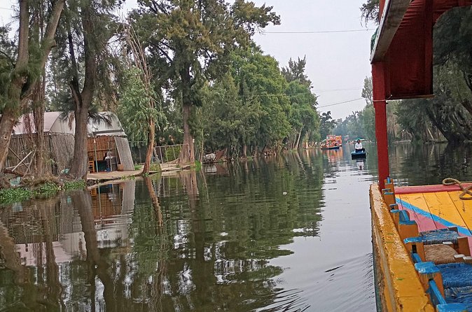 Private Xochimilco Boat Ride, Food & Mariachi from Mexico City - Cruising the Main Canals of Nativitas with Local Lunch