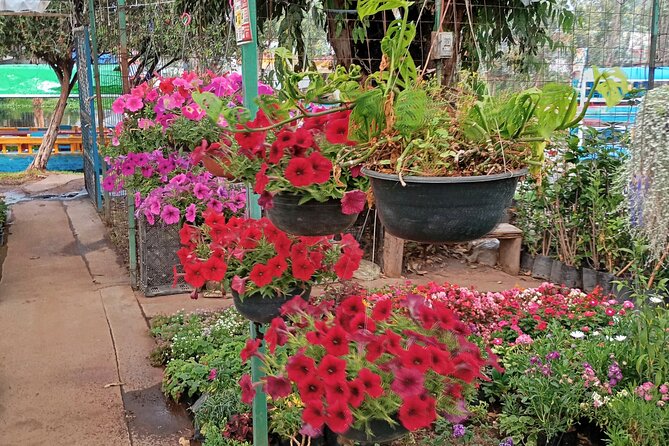 Private Xochimilco Boat Ride, Food & Mariachi from Mexico City - Logistics and Accessibility