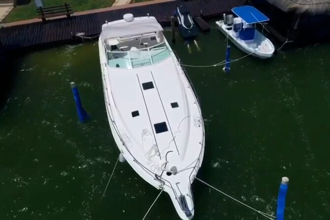 Private Yacht 46ft Sea Ray Snorkel up to 15 pax 23P2 - The Crew and Customer Service Experience