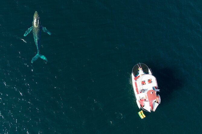 Private Yacht Charter ChicaFUN 3 Waterslides All Inclusive - What to Expect on the Itinerary