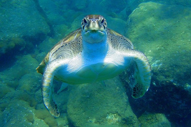 Private Yacht Excursion from Puerto Colon 3 hours - Starting Point and Convenient Hotel Pickup in Costa Adeje