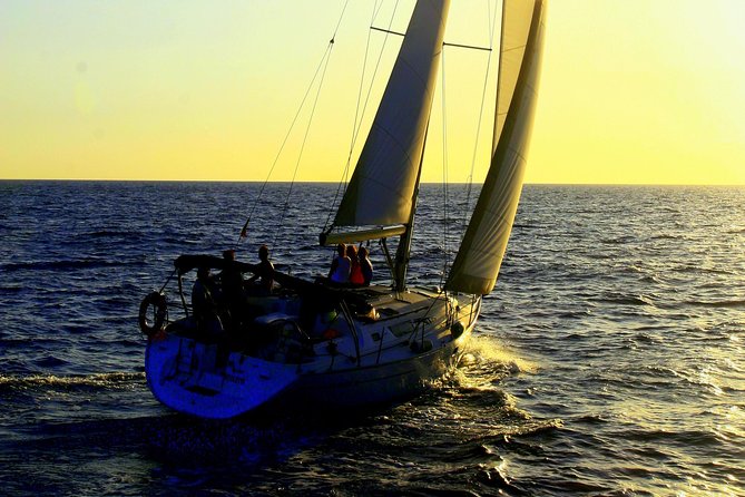 Private Yacht Excursion from Puerto Colon 3 hours - Marine Wildlife Encounters: Whales, Dolphins, and Turtles