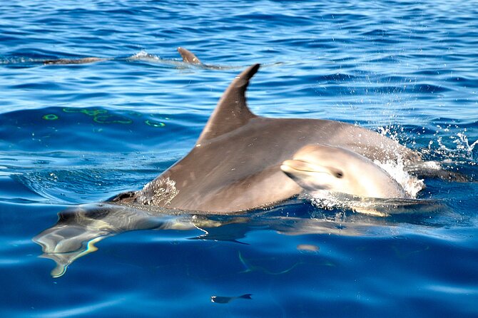 Private Yacht Excursion from Puerto Colon 3 hours - Pacing, Weather Considerations, and Sea Conditions