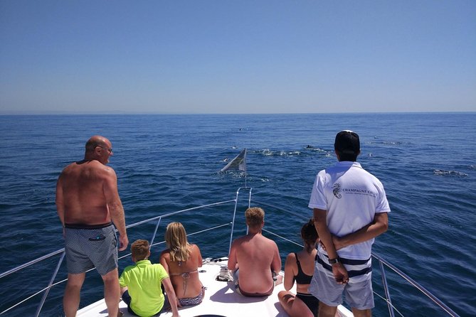 Private Yacht Hire in The Algarve - Majestic - All-Inclusive Drinks and Champagne Welcome