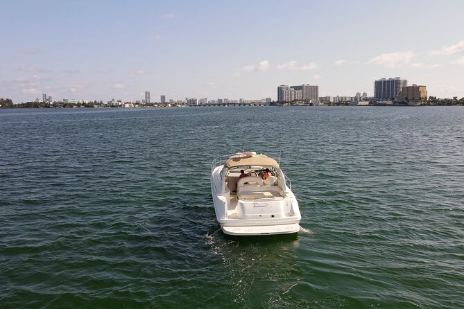 Private Yacht Rental Miami, Customizable Tours, Dolphin Watching - Dolphin Watching and Marine Encounters