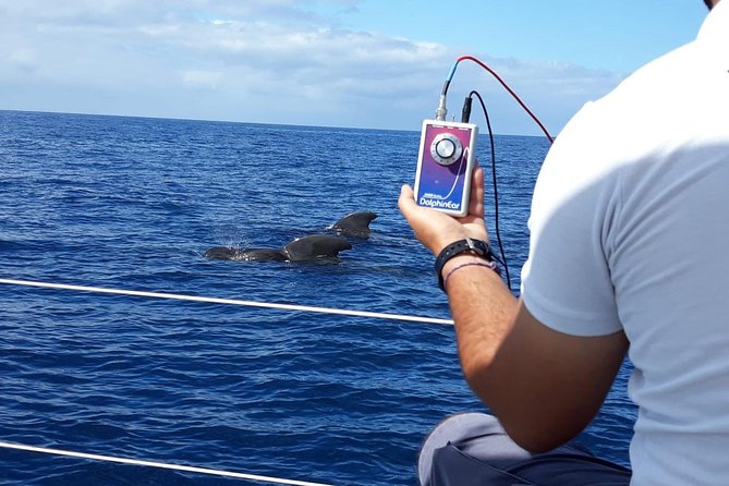 Private Yacht Tour With Whale and Dolphin Watching 42 Foot Boat - Who This Tour Is Perfect For