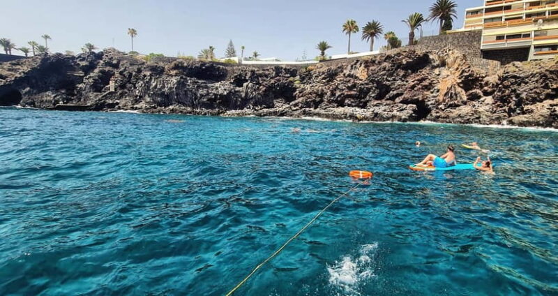 Private Yatch Amalfi Cinco - SHARED TOUR - Experience the Coastline and Marine Wildlife