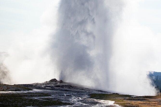 Private Yellowstone Highlights Tour - Gourmet Lunch and Additional Amenities