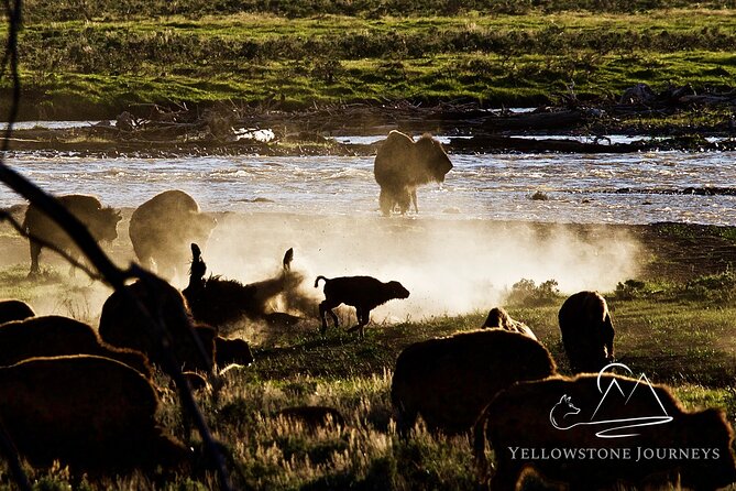 Private Yellowstone Journey from Gardiner, MT - Food, Drinks, and Weather Considerations