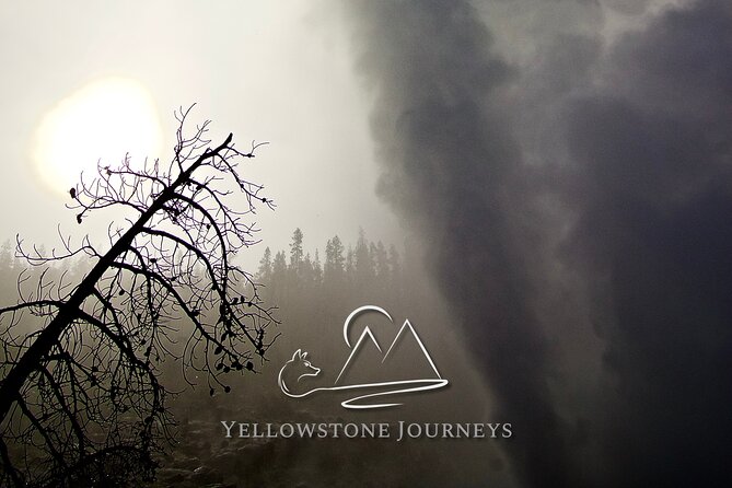 Private Yellowstone Journey from Gardiner, MT - Why Choose This Private Yellowstone Tour?