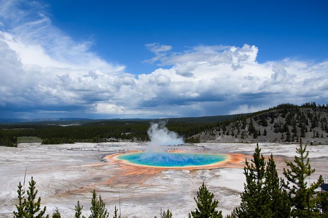 Private Yellowstone Old Faithful and Lower Loop Tour - The Role of Expert Guides in Yellowstone Tours