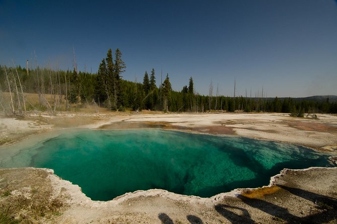 Private Yellowstone Old Faithful and Lower Loop Tour - Yellowstone Lake and Scenic Picnic Lunch