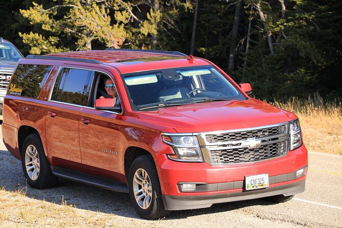 Private Yellowstone Tour: ICONIC Sites, Wildlife, Family Friendly Hikes + lunch - Thermal Features and Active Geysers at Fountain Paint Pot