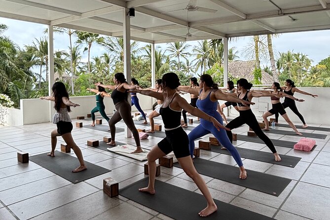 Private Yoga Classes and Experiences in Sayulita Mexico - Potential Limitations and Considerations