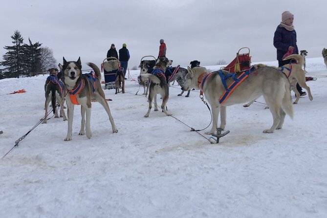 Private Zakopane and Thermal Pools Tour from Krakow - Explore Zakopane and Relax in Thermal Pools for a Full Day from Krakow