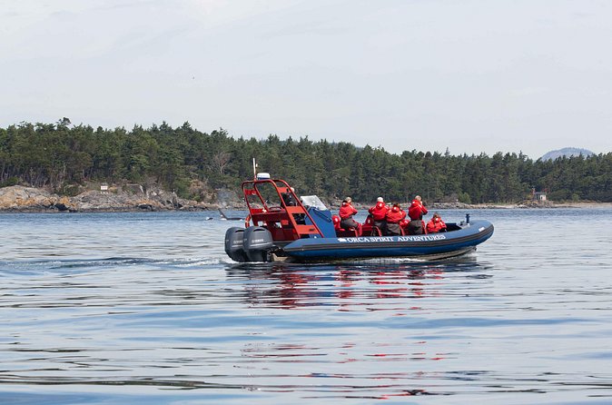 Private Zodiac Whale Watching Tour from Victoria - The Guides and Their Passion for the Ocean