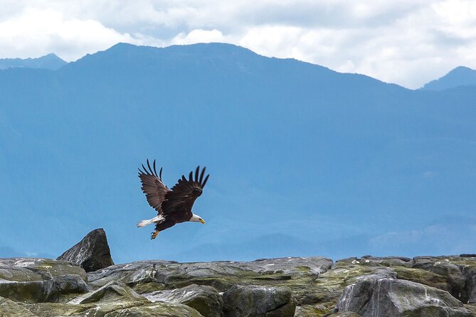 Private Zodiac Whale Watching Tour from Victoria - What to Wear and What’s Not Included