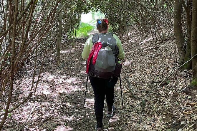 Privately Guided Full Day Hike - Hiking in Pisgah National Forest and Beyond