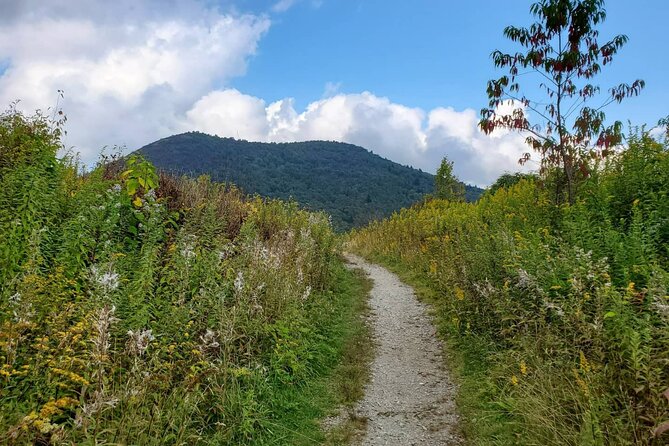 Privately Guided Half Day Hike - Highlights of Pisgah National Forest