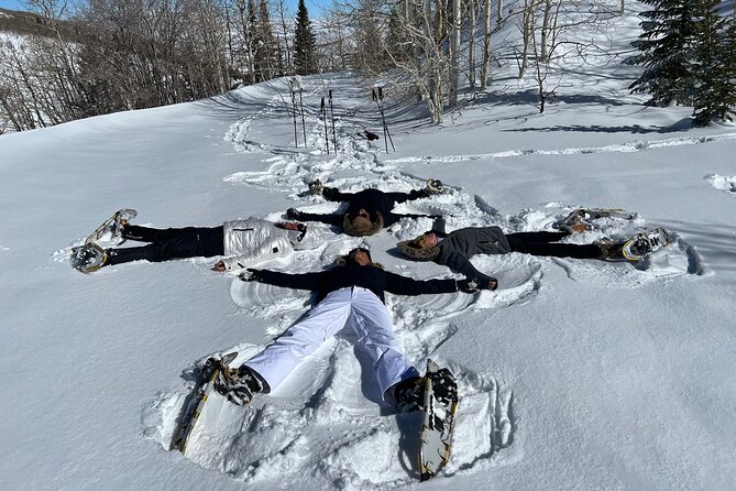 Privately Guided Snowshoe Experience - Customizable Trails for All Fitness Levels and Interests