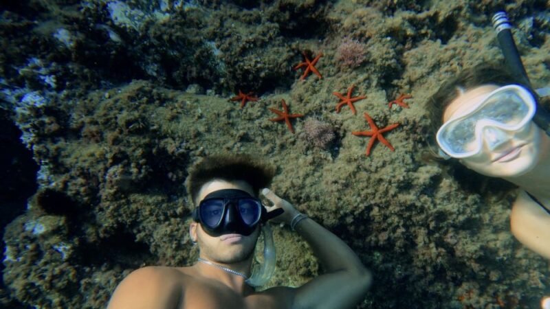 Procida: Boat Tour with Swimming Stops and Underwater Photos - Exploring Procidas Landmarks from the Sea