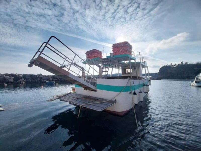 Procida: Sea View Boat Tour with Snorkeling - Snorkeling in Pristine Waters