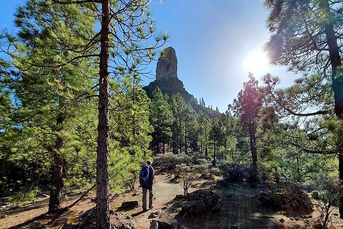 Professional climbing guide - Key Points