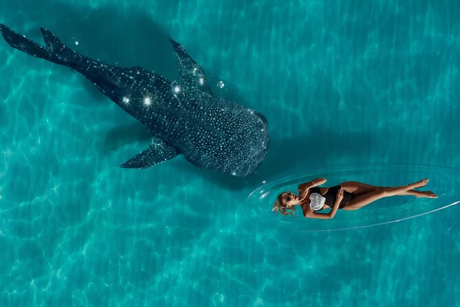 Professional Photo and Video Shoot in a Clear Kayak Cancun - Booking and Accessibility Details