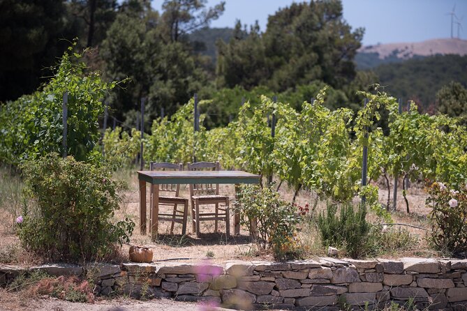 Professional Tour with Winemaker in Ikaria - The Role of Traditional Artifacts and Cultural Heritage