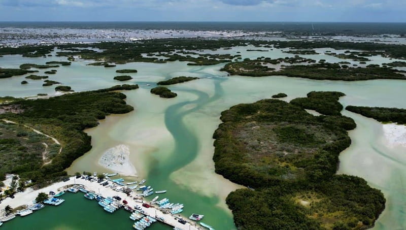 Progreso: Isla Columpios and Pig Beach Club Day Pass - Scenic Boat Ride Past Bird Island and Seaside Mounds