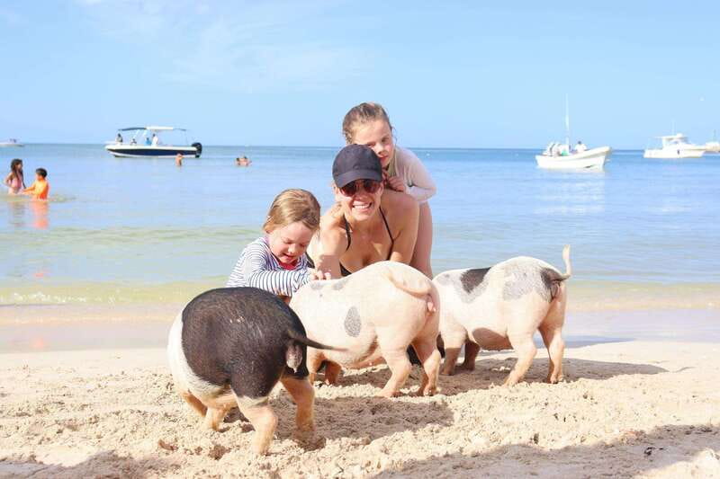 Progreso: Isla Columpios and Pig Beach Club Day Pass - How the Tour Balances Adventure and Relaxation
